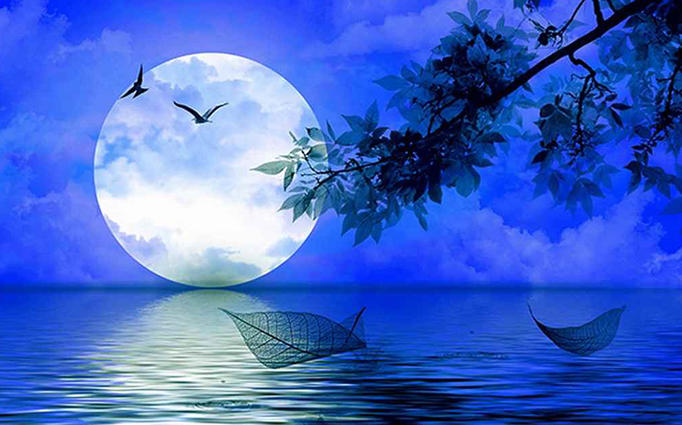 Starter Contribution